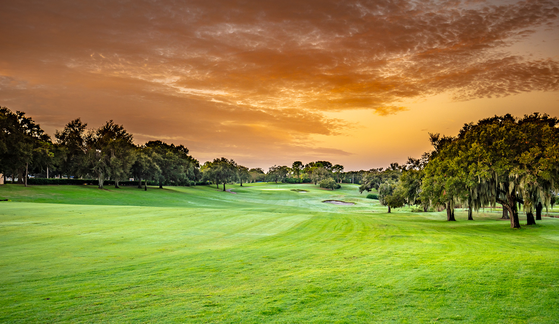 Byg op værdi Bløde Golf Courses in Orlando, FL | MetroWest Golf Club & Golf Lessons